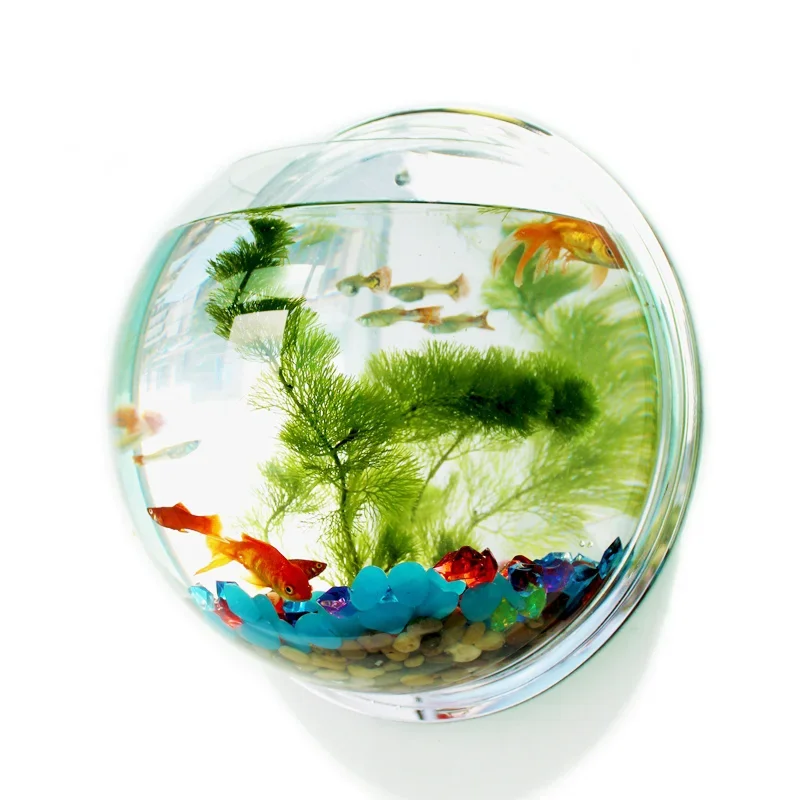 Betta Fish Tank - Pinsjar อะคริลิคชามปลาแขวนผนัง Aquarium ถังน้ําสัตว์เลี้ยงอุปกรณ์ผลิตภัณฑ์สําหรับสัตว์เลี้ยง Wall Mount