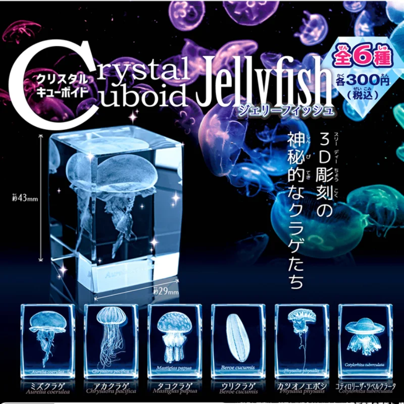 Aquarium Fish Keeping - Gashapon แมงกะพรุน3D คริสตัลทรงลูกบาศก์จากญี่ปุ่นรูปปลาพิพิธภัณฑ์สัตว์น้ำน่ารักน่ารักแคปซูลของเล่นอะนิเมะของขวัญตกแต่ง