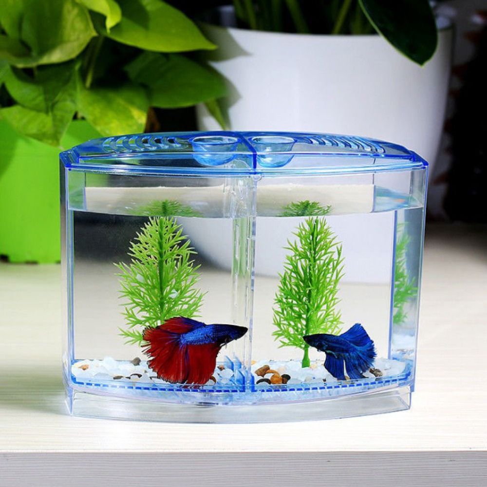 Betta Fish Tank - ถังปลาเบทต้าใสตู้ปลาหางนกยูงรูปสี่เหลี่ยมขนมเปียกปูนแบบสองกริดกล่องแยกสำหรับฟักไข่และเพาะพันธุ์