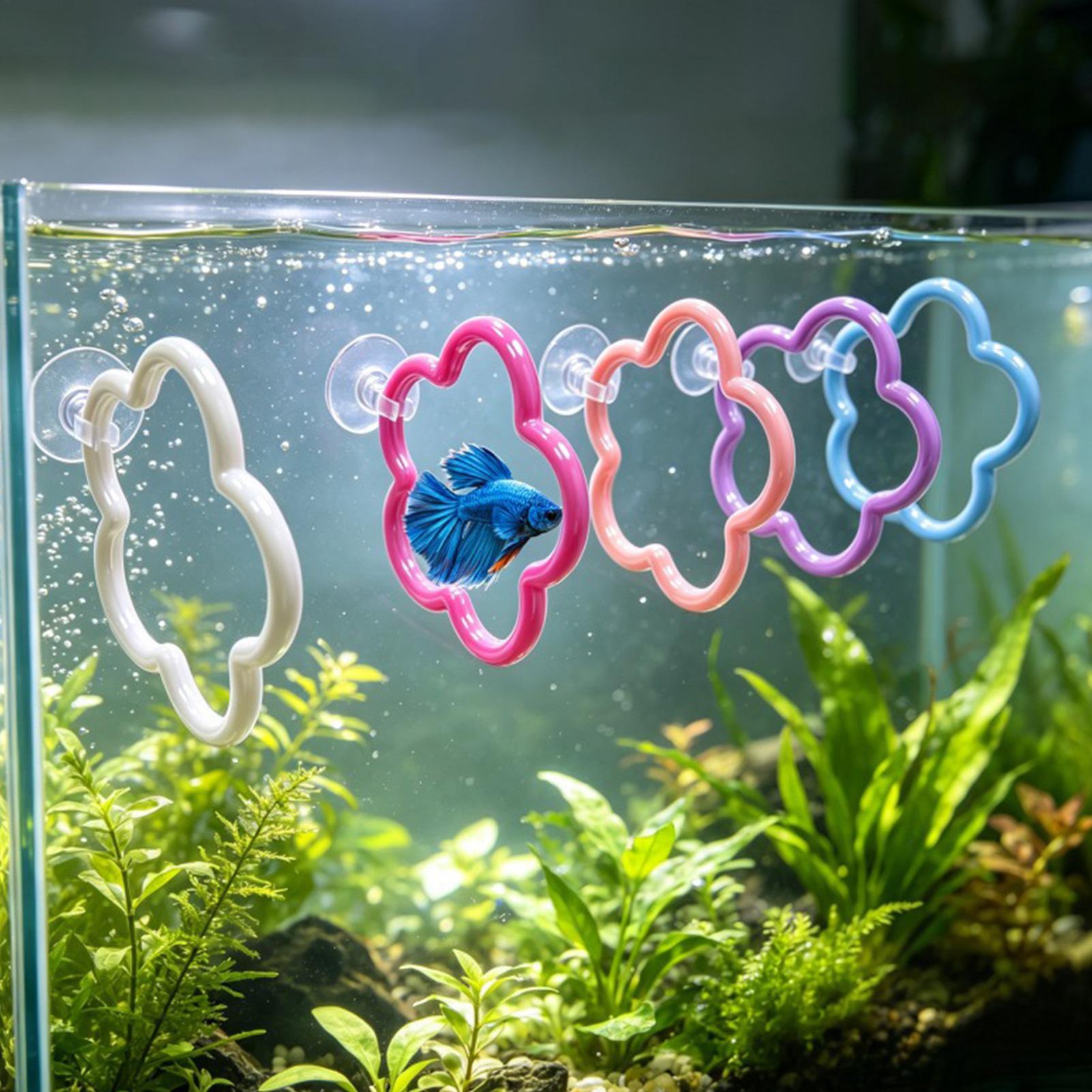 Aquarium Fish Betta - ของเล่นปลาเบตต้า 5 ชิ้น อุปกรณ์ตกแต่งตู้ปลาแบบมีถ้วยดูดสีสันสดใส วงแหวนออกกำลังกายสำหรับปลาเบตต้า สำหรับตกแต่งและเล่น