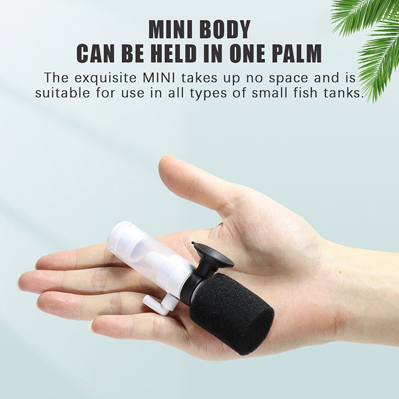 ฟิลเตอร์ฟองน้ำสำหรับตู้ปลาแบบใ - Betta Fish Tank บทวิจารณ์และราคา