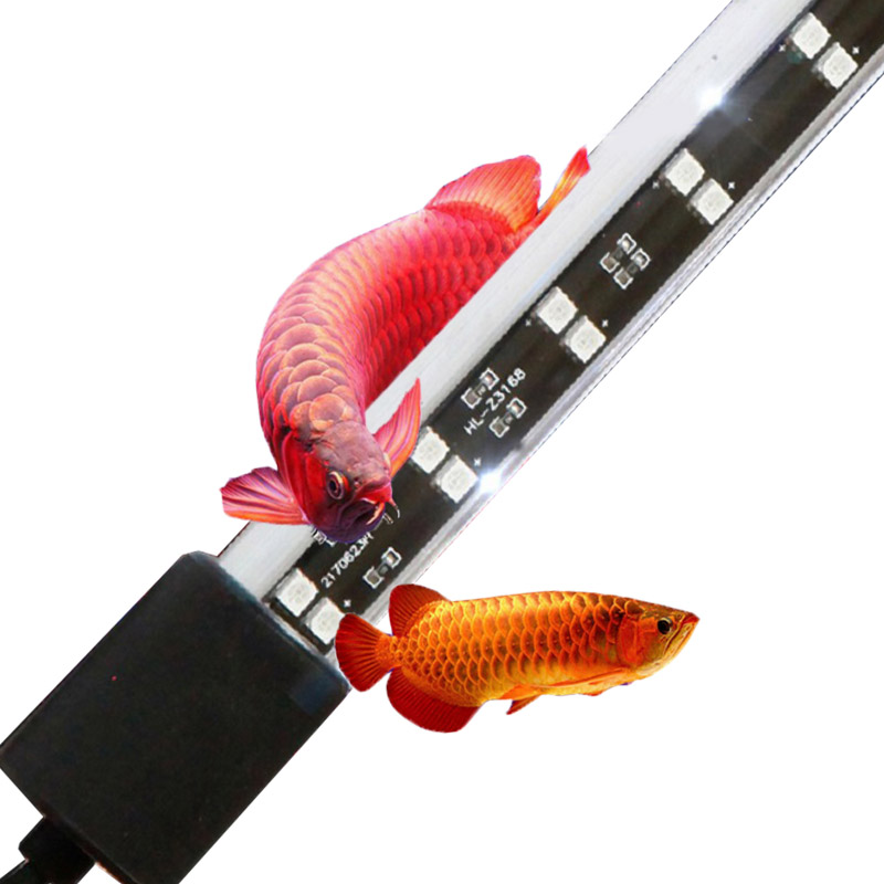 ไฟตู้ปลาอะโรวาน่า 72 ซม. 20 วั - Aquarium Fish Keeping บทวิจารณ์และราคา