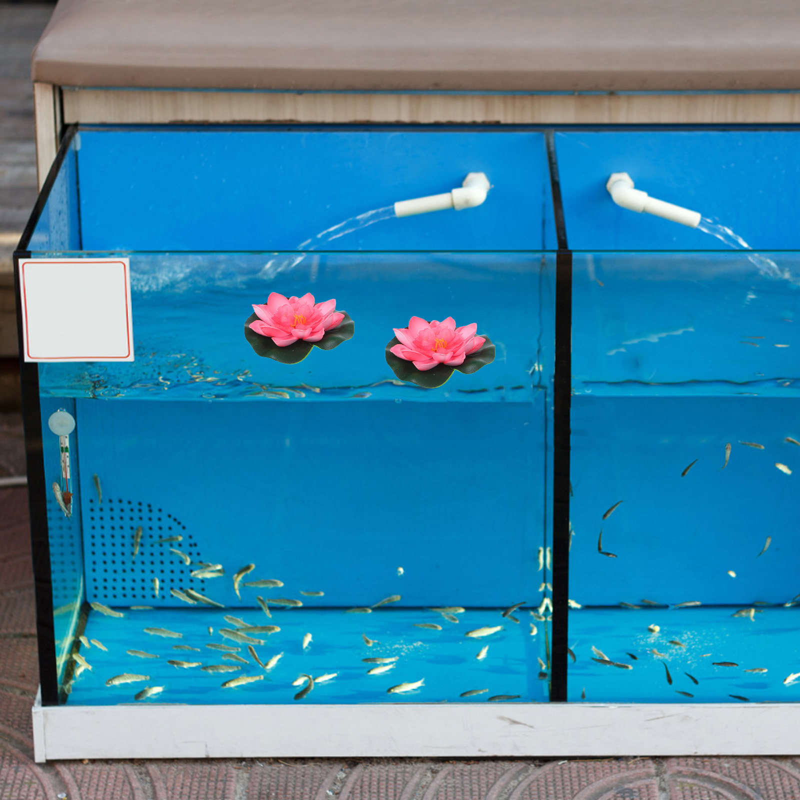 12 ชิ้น ดอกไม้ประดิษฐ์ลอยน้ำ ส - Aquarium Decor บทวิจารณ์และราคา