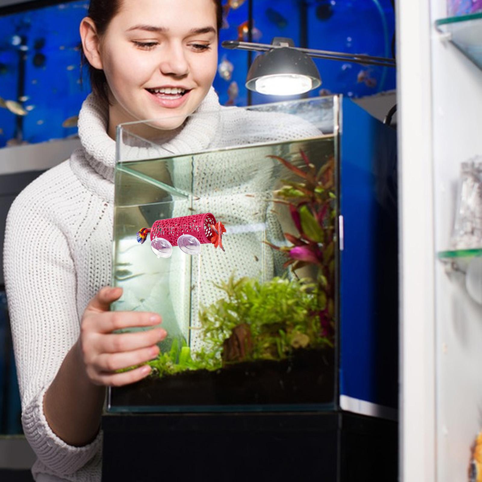 ที่พักพิงตกแต่งตู้ปลา ของเล่นอ - Betta Fish Tank บทวิจารณ์และราคา