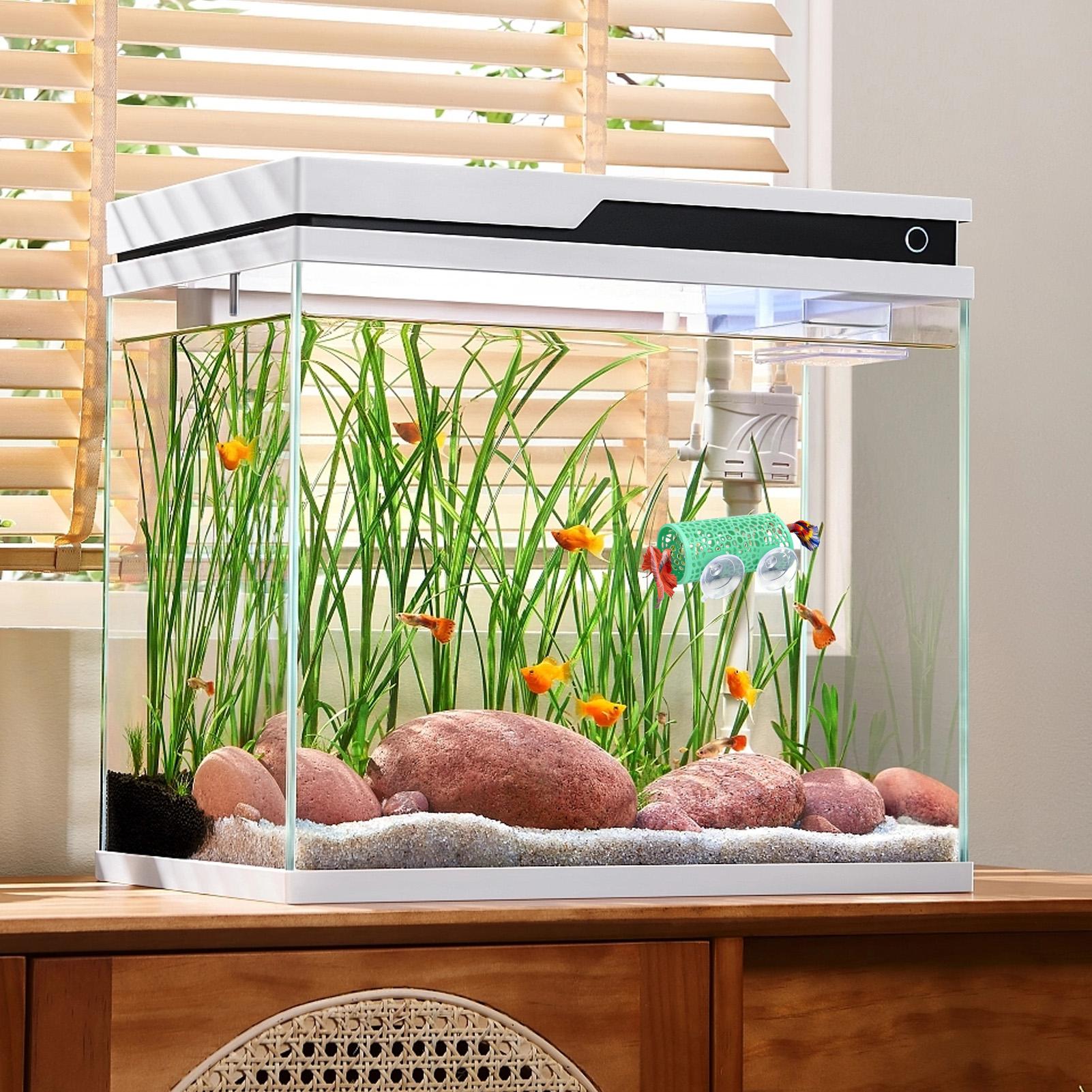 ที่พักพิงตกแต่งตู้ปลา ของเล่นอ - Betta Fish Tank บทวิจารณ์และราคา