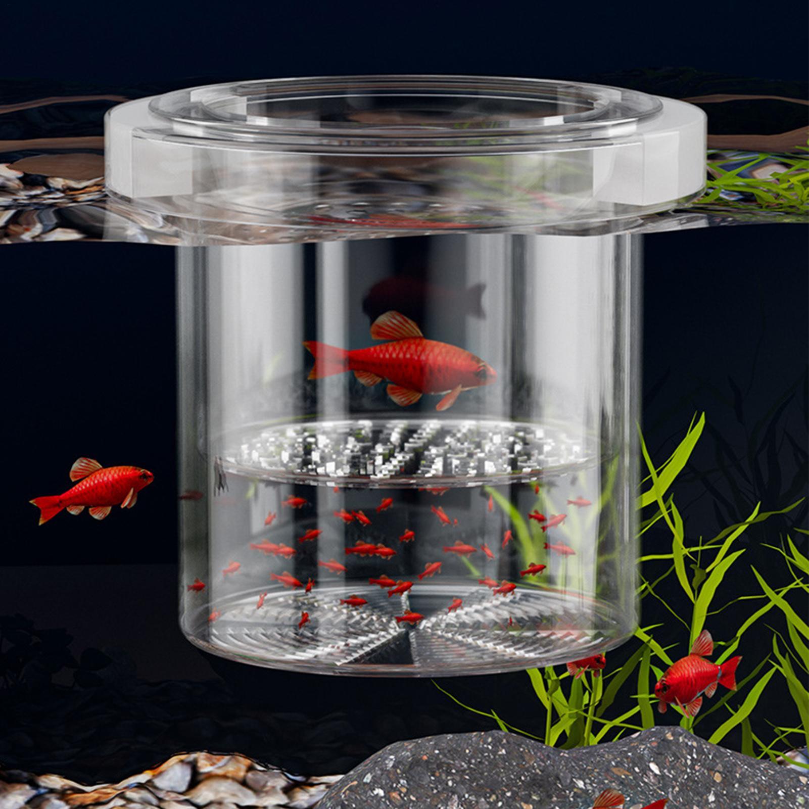 กล่องเพาะเลี้ยงปลาที่ทนทาน กล่ - Betta Fish Tank บทวิจารณ์และราคา
