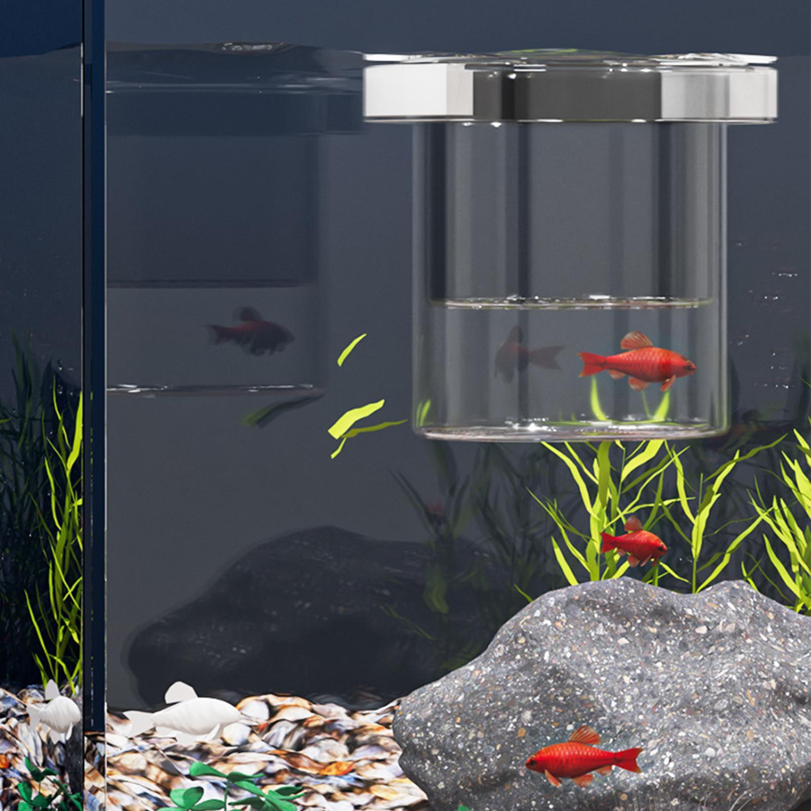 กล่องเพาะเลี้ยงปลาที่ทนทาน กล่ - Betta Fish Tank บทวิจารณ์และราคา