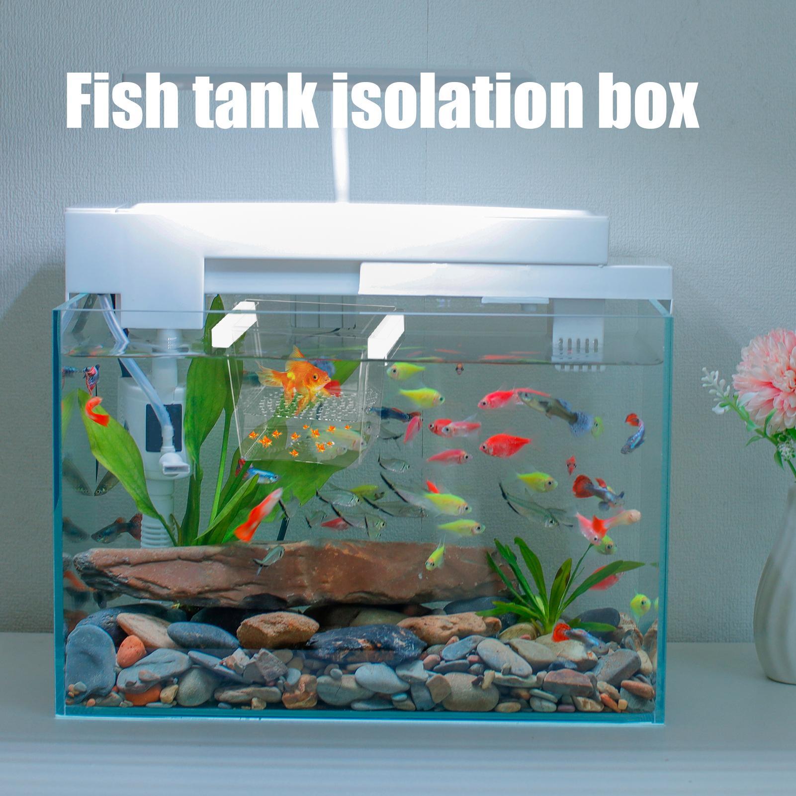 กล่องเพาะเลี้ยงปลาที่ทนทาน กล่ - Betta Fish Tank บทวิจารณ์และราคา