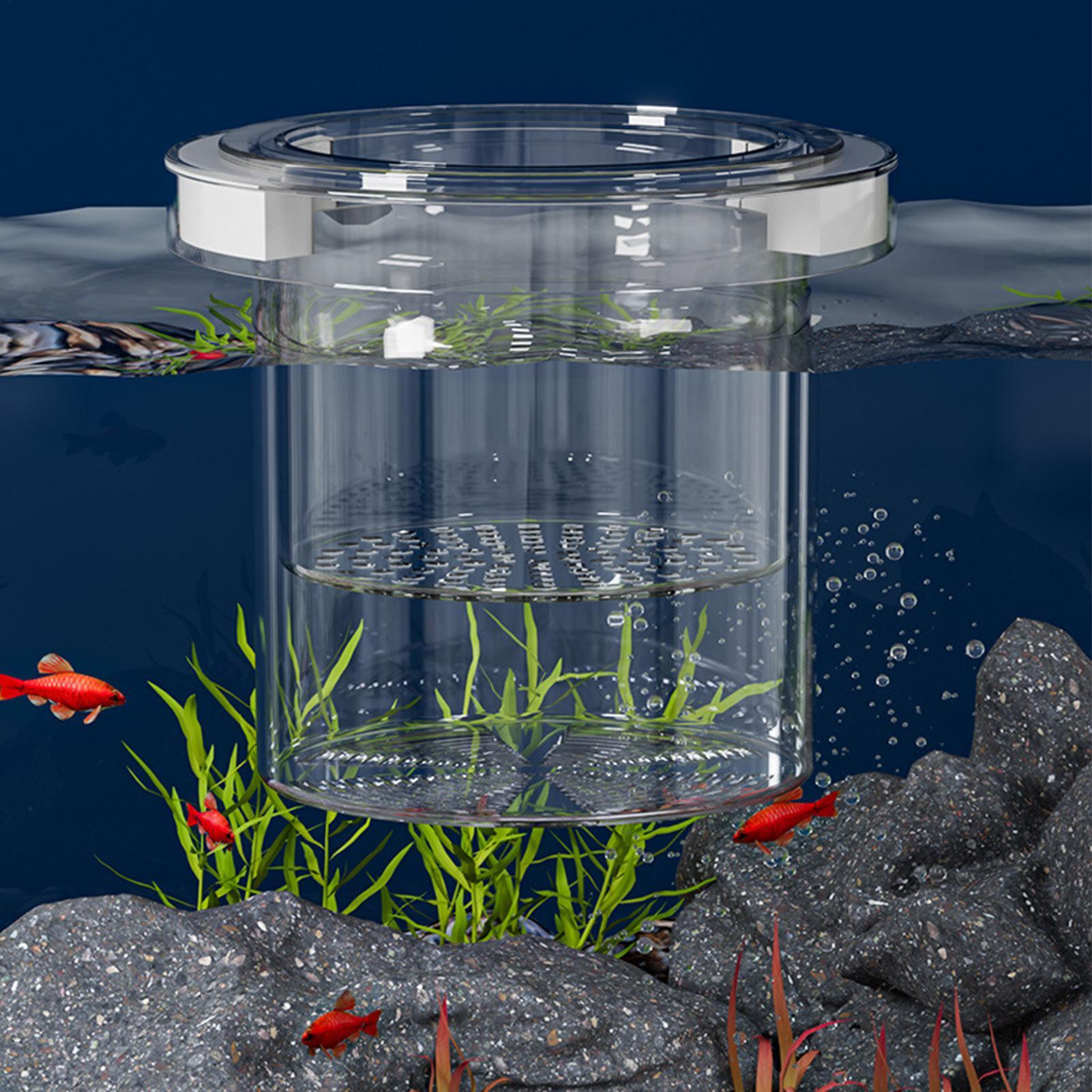 กล่องเพาะพันธุ์ปลาแบบลอยน้ำ กล - Betta Fish Tank บทวิจารณ์และราคา