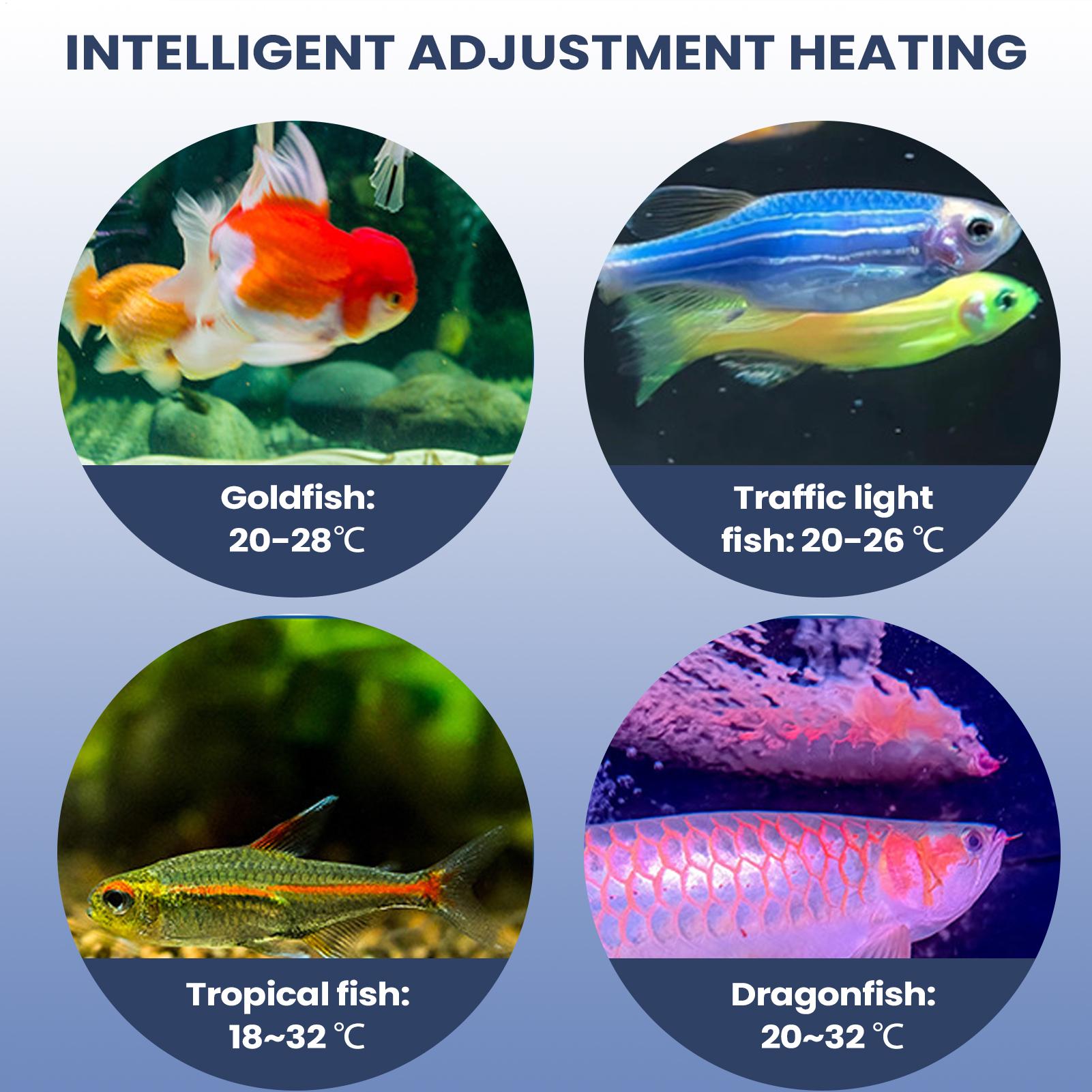 ปั๊มลมตู้ปลาแบบพกพา เครื่องเติ - Aquarium Pump บทวิจารณ์และราคา