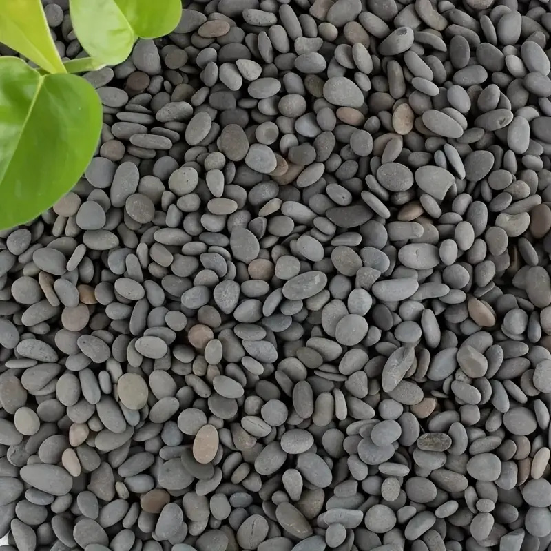 20 ชิ้นธรรมชาติ River Rocks Sm - Fish Tank Gravel บทวิจารณ์และราคา