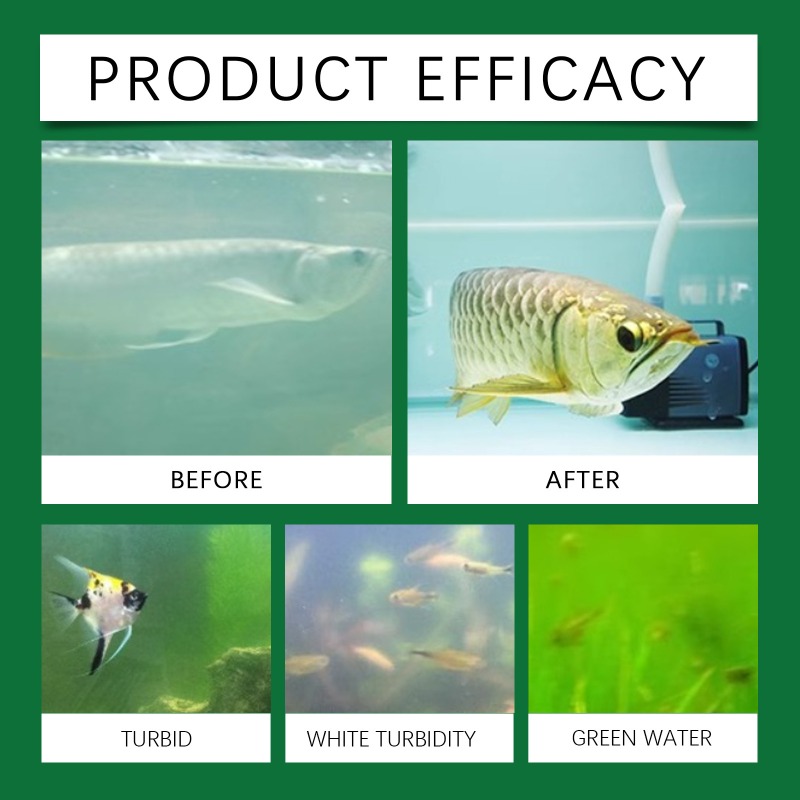 แท็บเล็ตทำน้ำให้บริสุทธิ์สำหรั - Aquarium Fish Keeping บทวิจารณ์และราคา