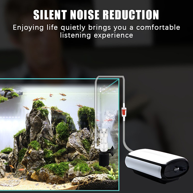 ♬ ฟิลเตอร์ฟองน้ำสำหรับตู้ปลาแบ - Betta Fish Tank บทวิจารณ์และราคา