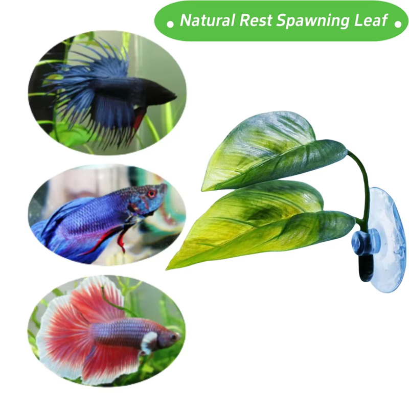 อุปกรณ์ตกแต่งตู้ปลา พืชน้ำเทีย - Betta Fish Tank บทวิจารณ์และราคา