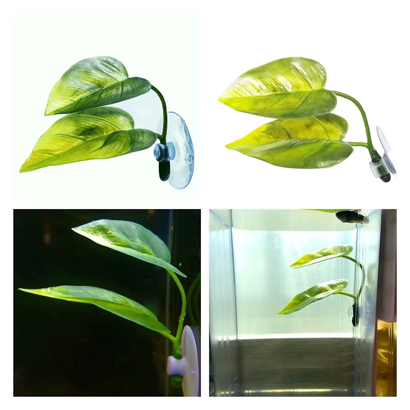 อุปกรณ์ตกแต่งตู้ปลา พืชน้ำเทีย - Betta Fish Tank บทวิจารณ์และราคา