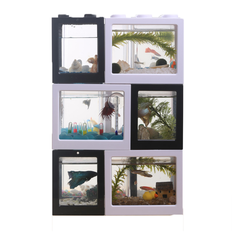 ตู้ปลาขนาดเล็ก 7 สี สำหรับปลาเ - Betta Fish Tank บทวิจารณ์และราคา