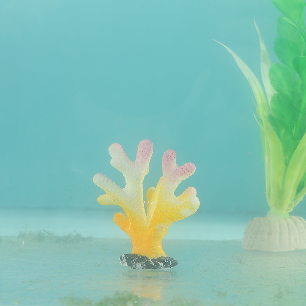 ประดิษฐ์ปะการังปลาเครื่องประดั - Fish Tank Gravel บทวิจารณ์และราคา