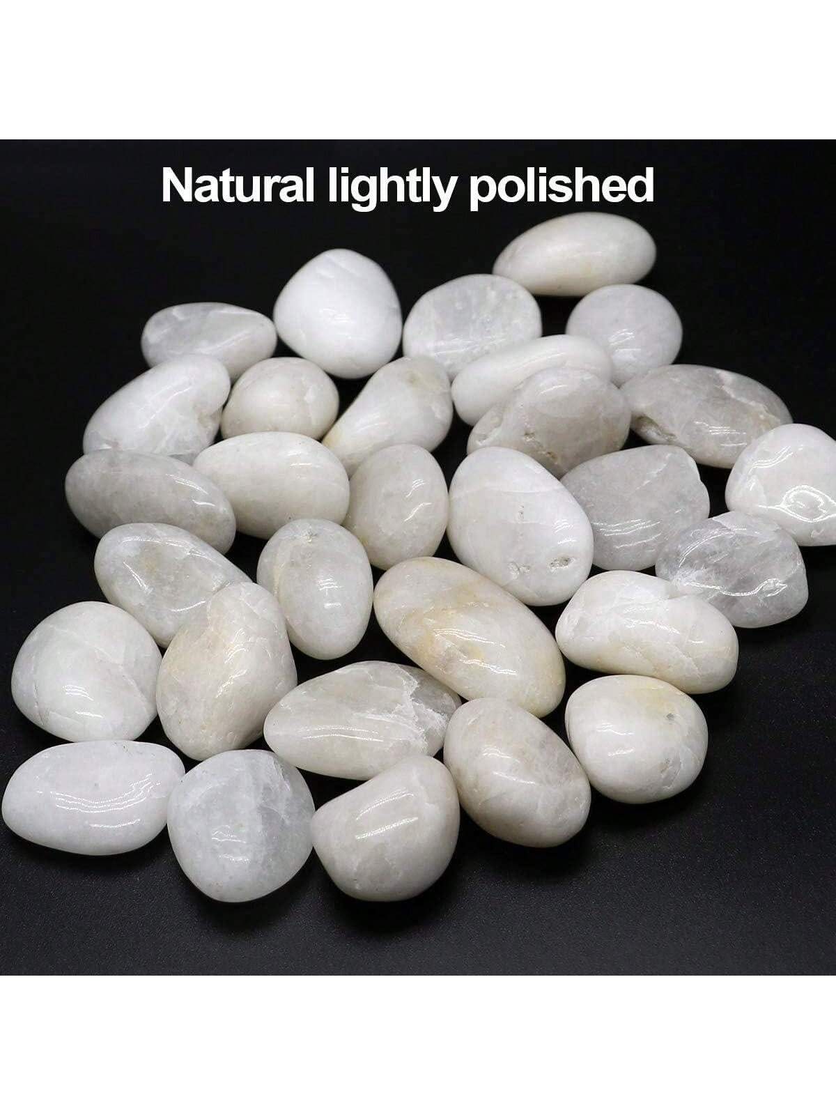 River Rocks ตกแต่งประดับสีขาว  - Fish Tank Gravel บทวิจารณ์และราคา