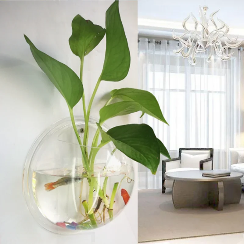 Pinsjar อะคริลิคชามปลาแขวนผนัง - Betta Fish Tank บทวิจารณ์และราคา