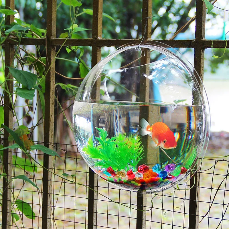 Pinsjar อะคริลิคชามปลาแขวนผนัง - Betta Fish Tank บทวิจารณ์และราคา