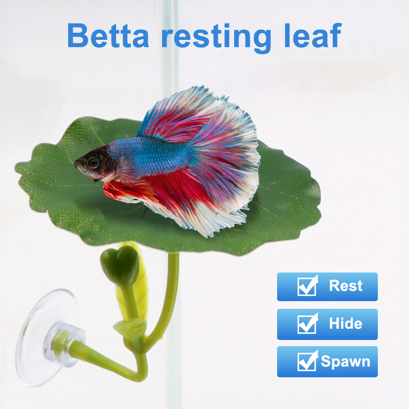 (Ce14)1/5PC ต้นไม้ใบเขียวสำหรั - Betta Fish Tank บทวิจารณ์และราคา