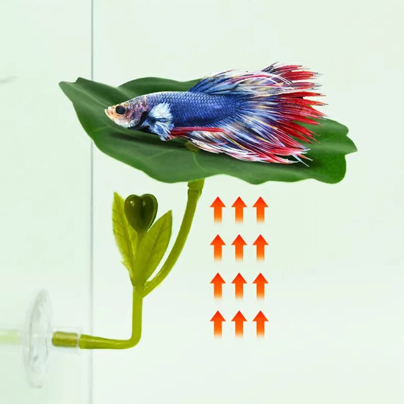 (Ce14)1/5PC ต้นไม้ใบเขียวสำหรั - Betta Fish Tank บทวิจารณ์และราคา