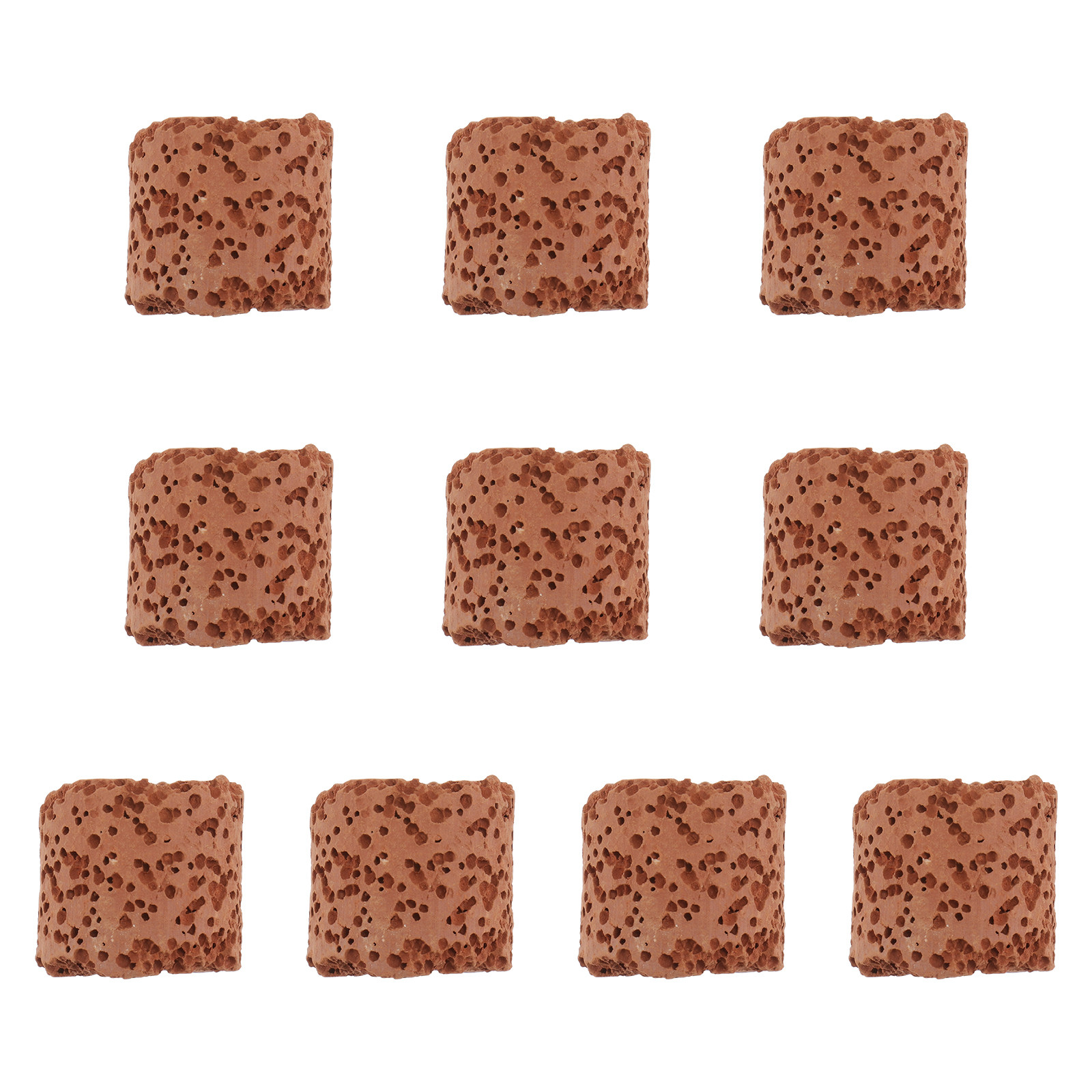 10 ชิ้น แหวนยึดสำหรับพืชน้ำ ที - Aquarium Plants บทวิจารณ์และราคา