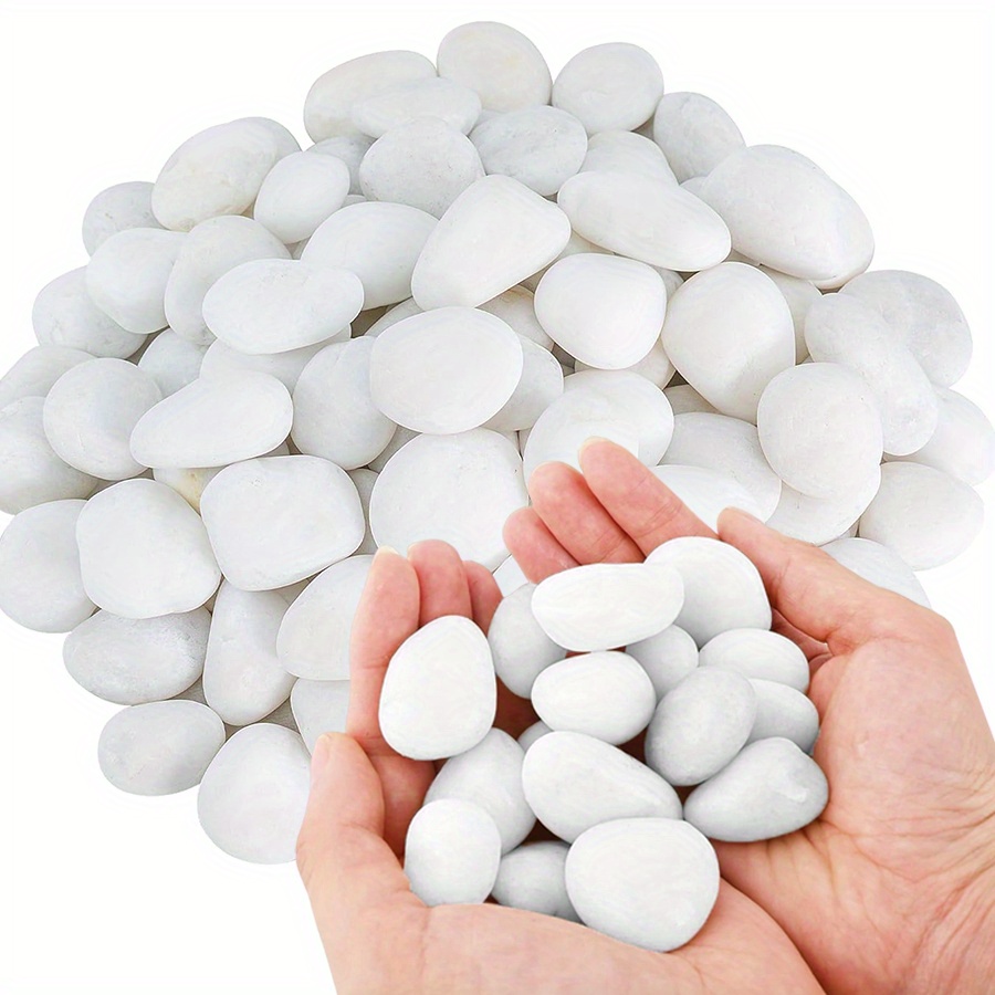 หินกรวดขัดเงาสีขาวธรรมชาติ ขนา - Fish Aquarium Home บทวิจารณ์และราคา