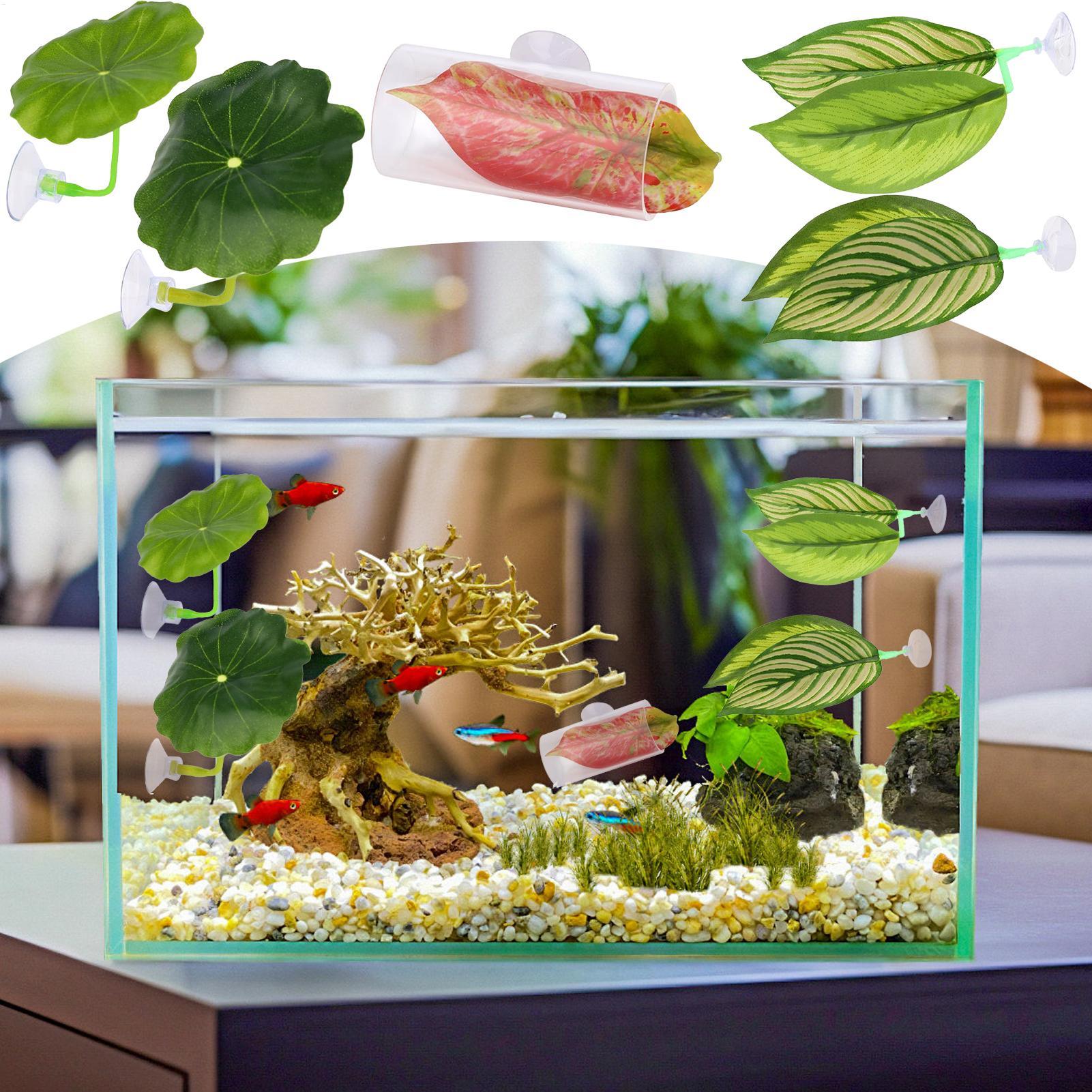 เปลใบไม้สำหรับปลาเบต้า 5 ชิ้น  - Aquarium Fish Betta บทวิจารณ์และราคา