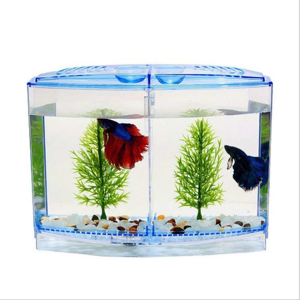 ถังปลาเบทต้าใสตู้ปลาหางนกยูงรู - Betta Fish Tank บทวิจารณ์และราคา