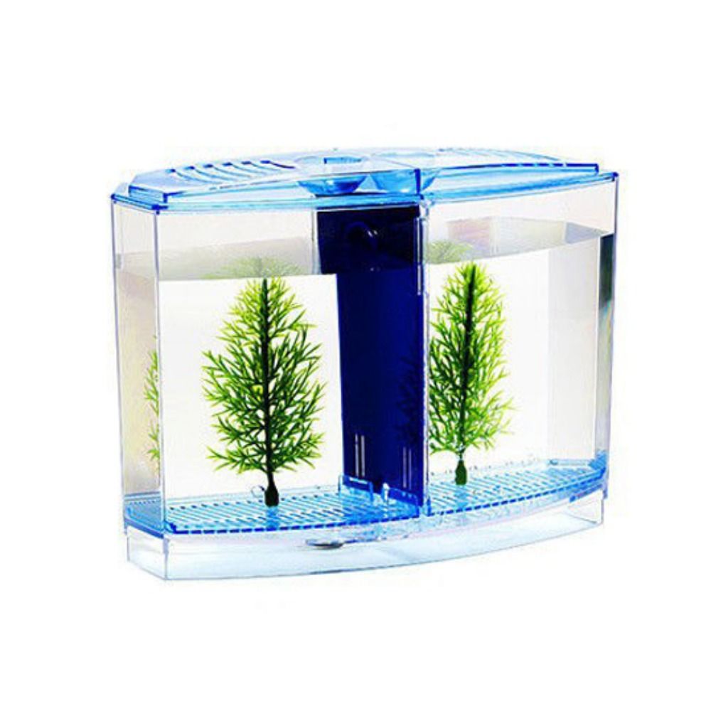 ถังปลาเบทต้าใสตู้ปลาหางนกยูงรู - Betta Fish Tank บทวิจารณ์และราคา