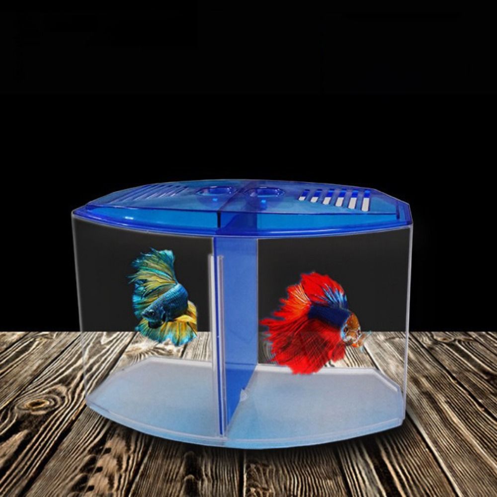 ถังปลาเบทต้าใสตู้ปลาหางนกยูงรู - Betta Fish Tank บทวิจารณ์และราคา