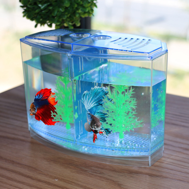 นวนิยายและตลกของเล่นสร้างสรรค์ - Aquarium Fish Keeping บทวิจารณ์และราคา