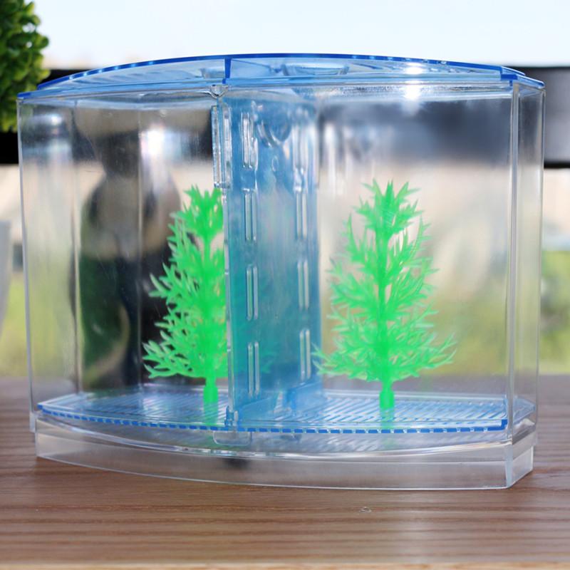 นวนิยายและตลกของเล่นสร้างสรรค์ - Aquarium Fish Keeping บทวิจารณ์และราคา