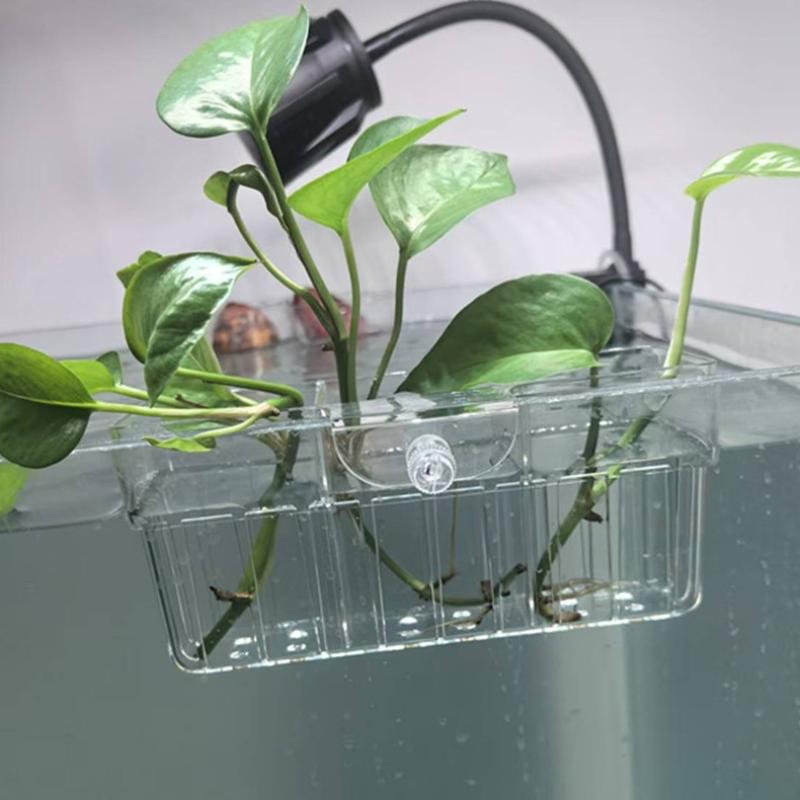 ตะกร้าปลูกพืชไฮโดรโพนิก เกรดอา - Aquarium Decor บทวิจารณ์และราคา