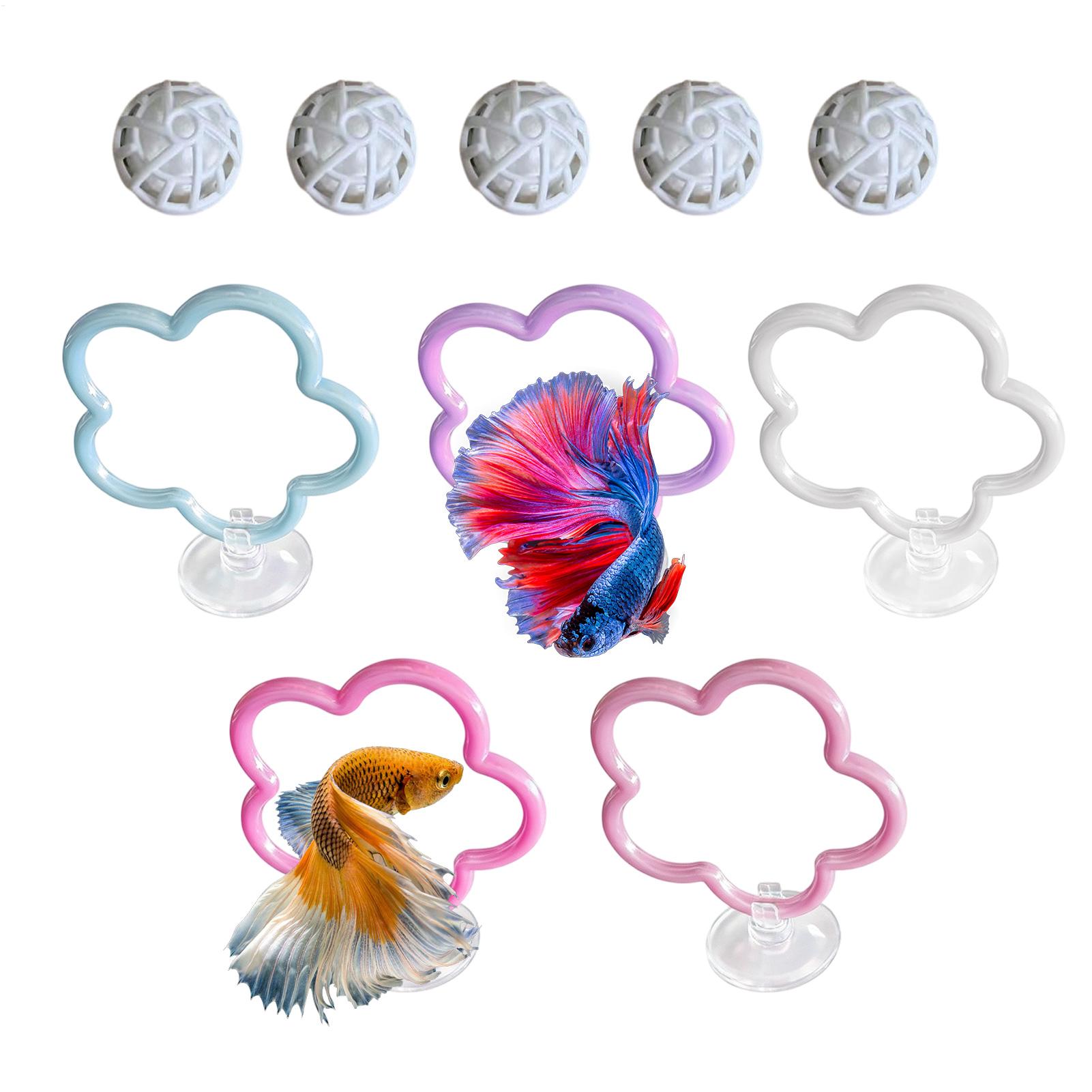ของเล่นปลาเบตต้า 5 ชิ้น อุปกรณ - Aquarium Fish Betta บทวิจารณ์และราคา