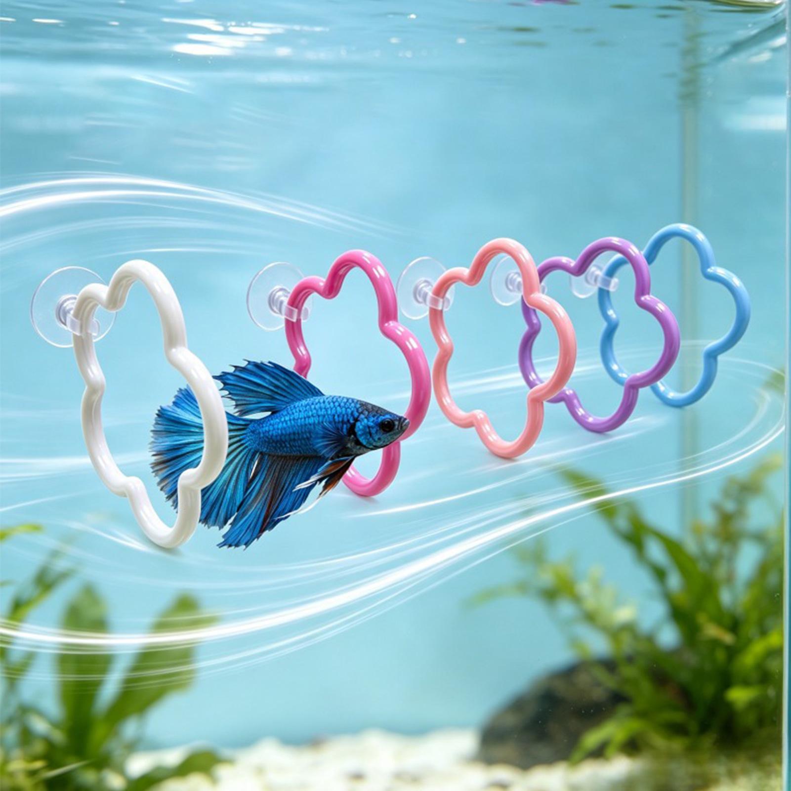 ของเล่นปลาเบตต้า 5 ชิ้น อุปกรณ - Aquarium Fish Betta บทวิจารณ์และราคา