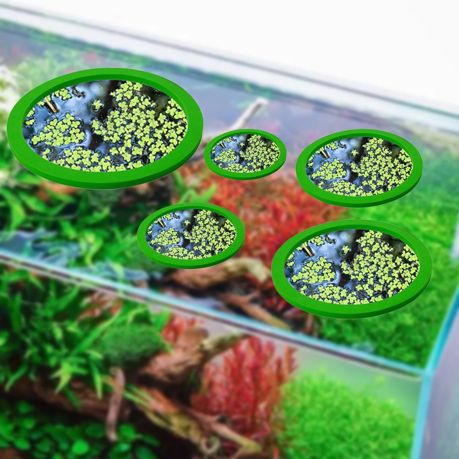 5 ชิ้น EVA ปลา Feeding แหวน Aq - Fish Aquarium Home บทวิจารณ์และราคา