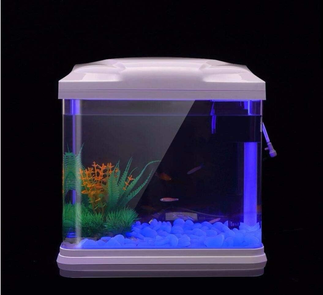 ถังปลา Rocks Glow Blue Pebbles - Fish Aquarium Home บทวิจารณ์และราคา