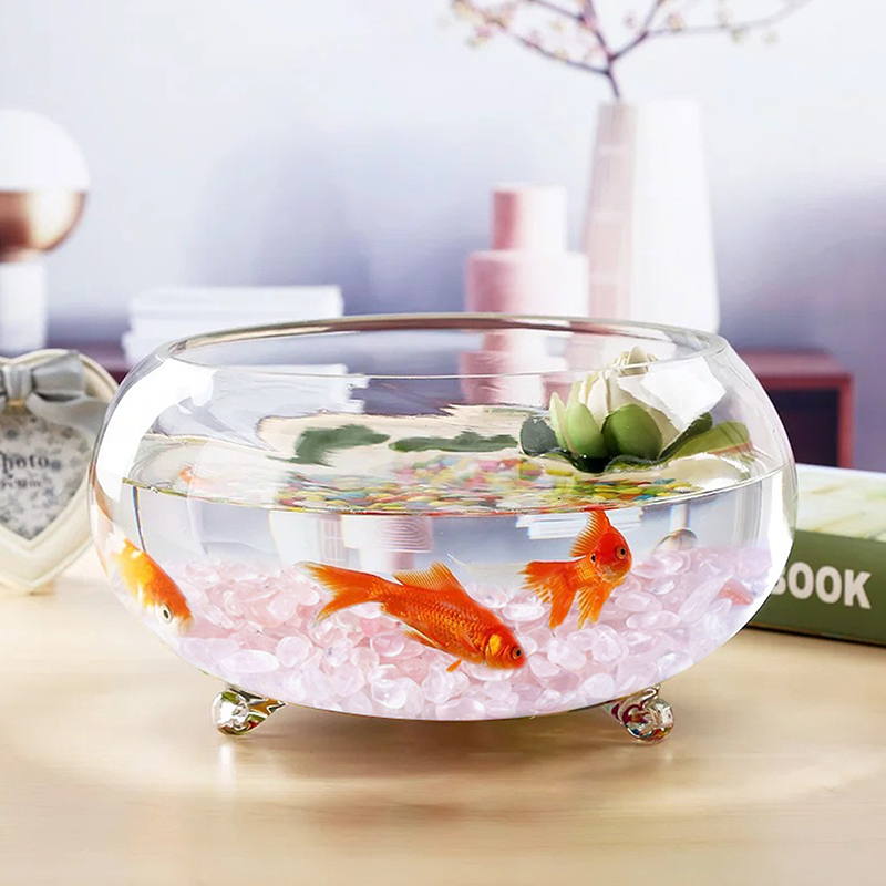 หินธรรมชาติ500กรัม/ถุงหินโรสคว - Aquarium Decor บทวิจารณ์และราคา