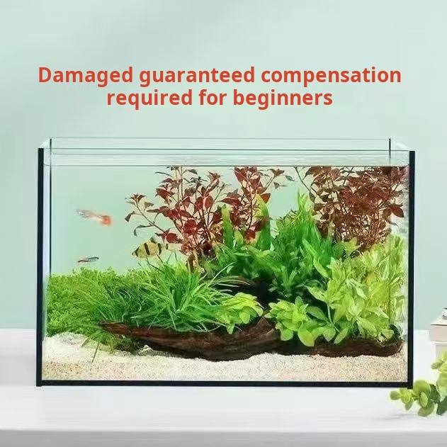 ตู้ปลาทรงสี่เหลี่ยมขนาดใหญ่ กร - Aquarium Fish Keeping บทวิจารณ์และราคา