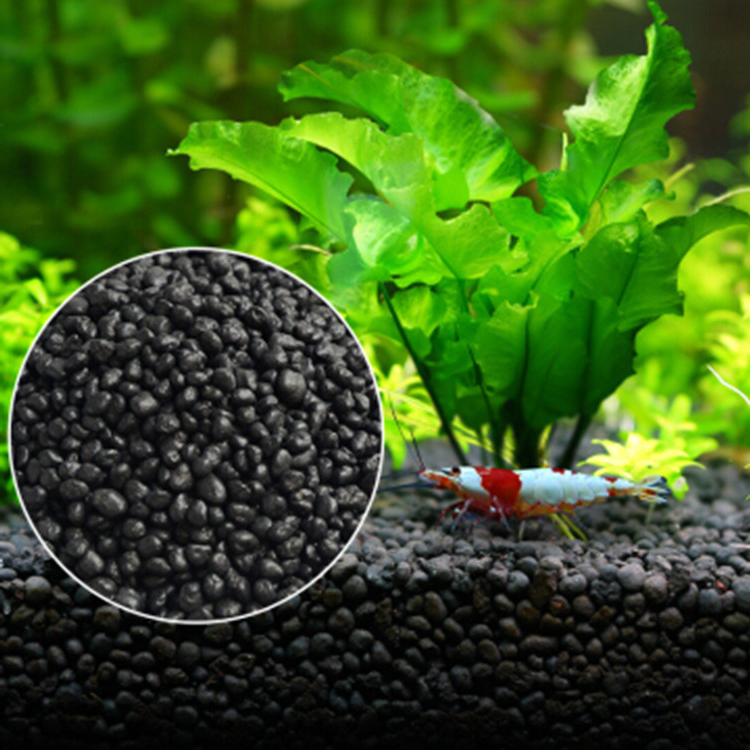 พิพิธภัณฑ์สัตว์น้ำเมล็ดพืชดิน  - Fish Tank Gravel บทวิจารณ์และราคา