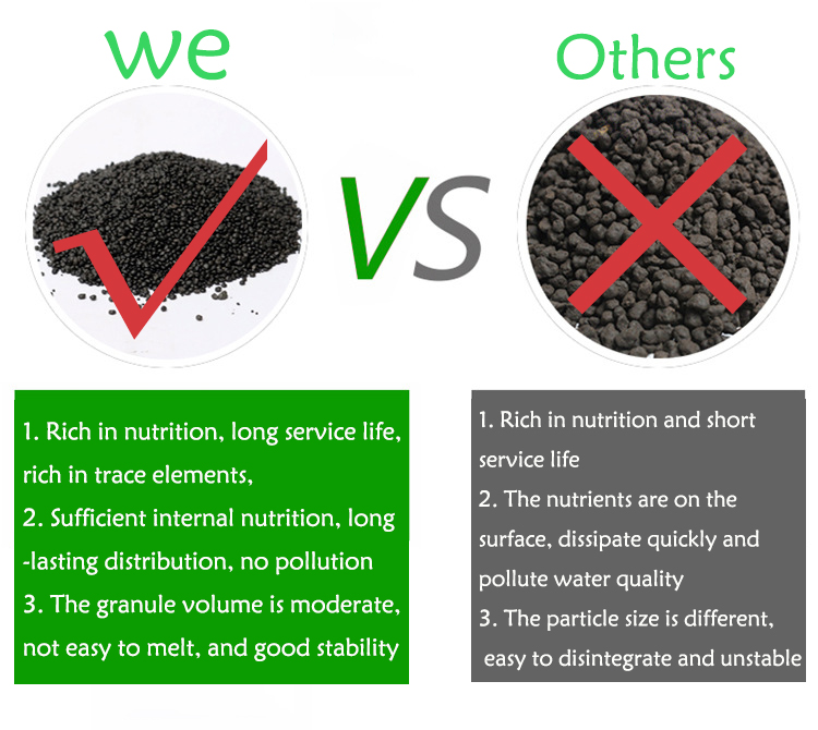 พิพิธภัณฑ์สัตว์น้ำเมล็ดพืชดิน  - Fish Tank Gravel บทวิจารณ์และราคา