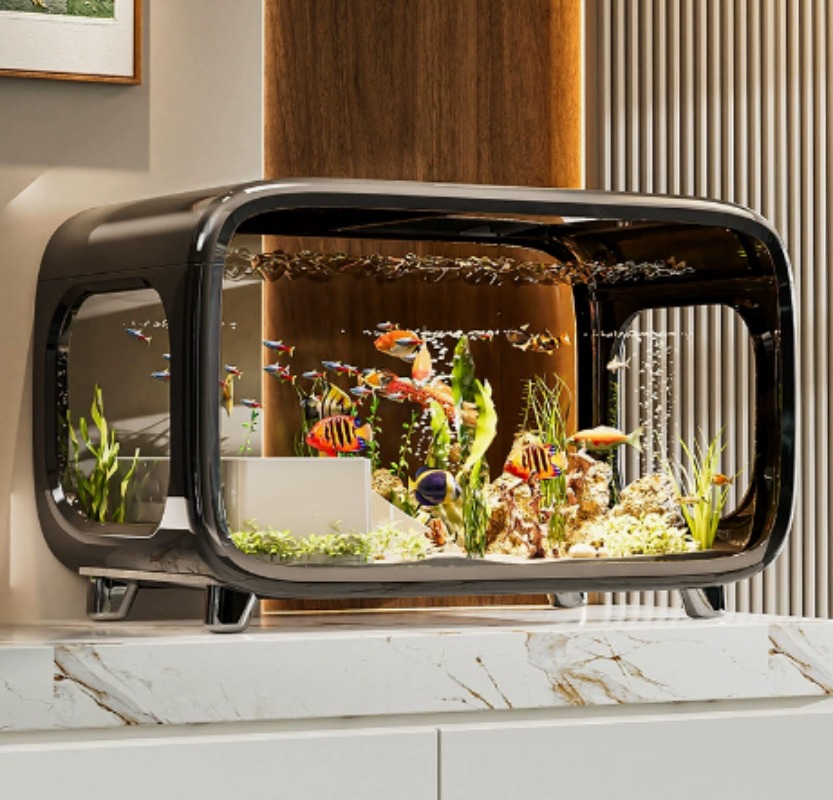 ตู้ปลาโปร่งใสดีไซน์สร้างสรรค์  - Fish Aquarium Home บทวิจารณ์และราคา