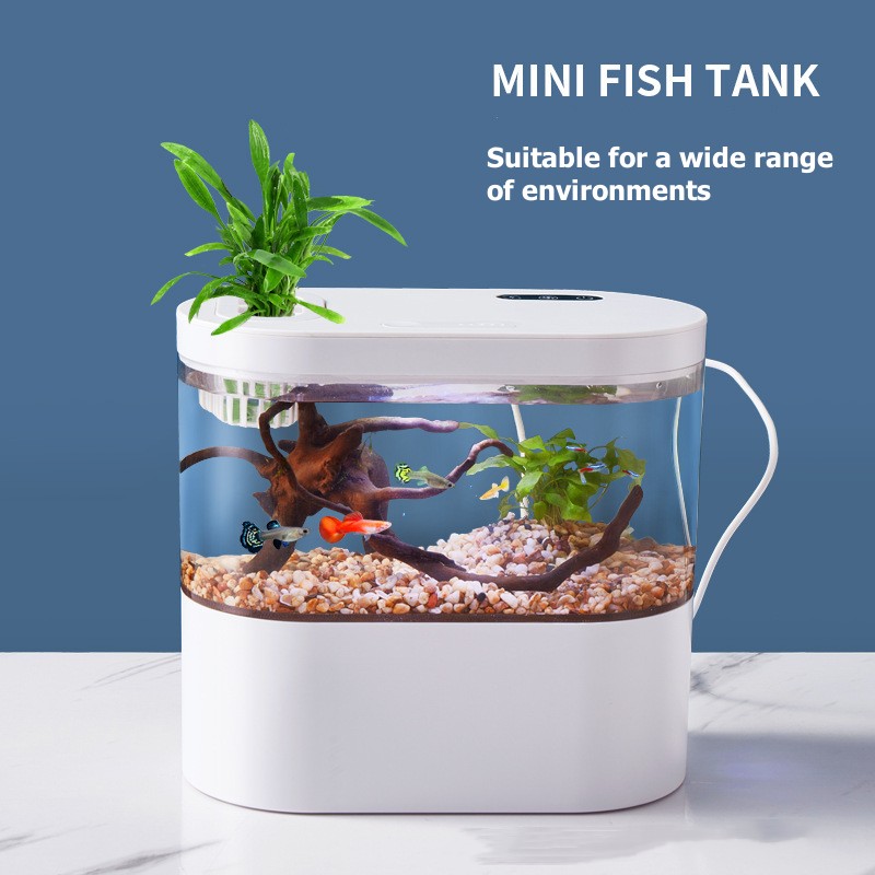ตู้ปลาตั้งโต๊ะขนาดเล็กพร้อมระบ - Betta Fish Tank บทวิจารณ์และราคา