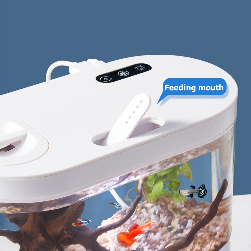 ตู้ปลาตั้งโต๊ะขนาดเล็กพร้อมระบ - Betta Fish Tank บทวิจารณ์และราคา