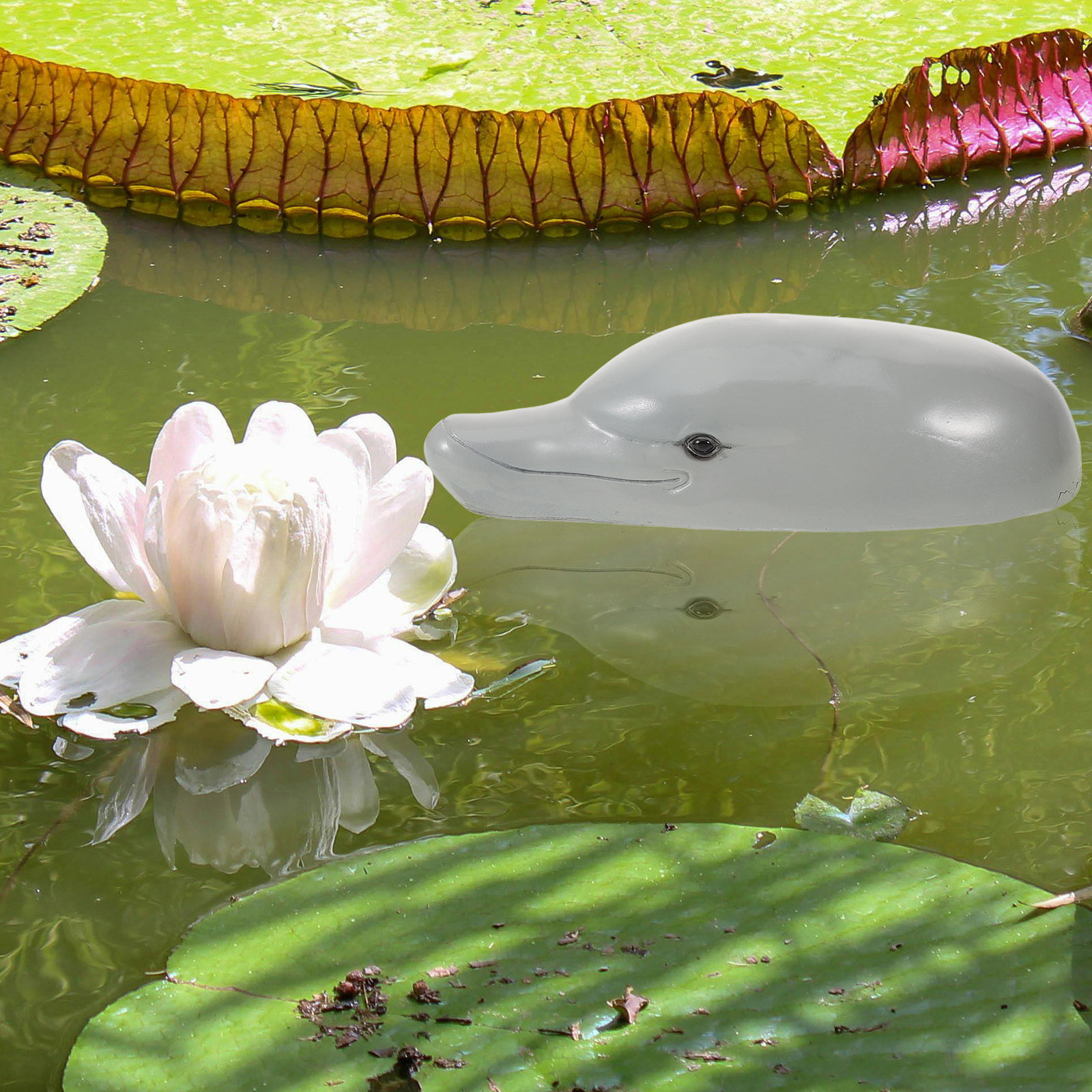 ของตกแต่งรูปหัวปลาโลมาเรซินคุณ - Aquarium Decor บทวิจารณ์และราคา