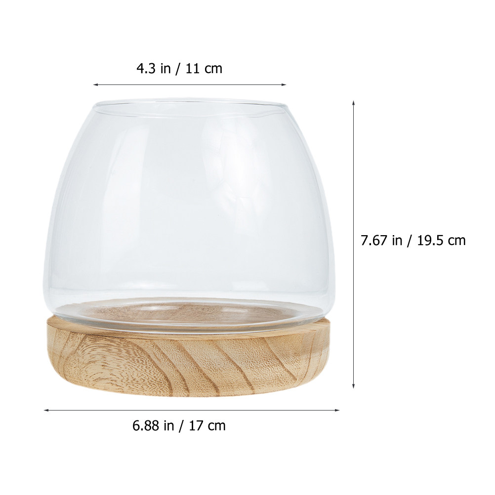 ชุดตู้แก้วใสสำหรับปลูกพืชไฮโดร - Aquarium Fish Betta บทวิจารณ์และราคา
